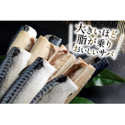 訳あり トロ塩サバ フィレ LLサイズ 3kg ★フィレ1枚230g超え![20565620] 