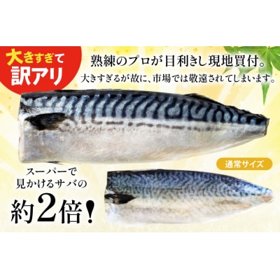 訳あり トロ塩サバ フィレ LLサイズ 3kg ★フィレ1枚230g超え![20565620] 