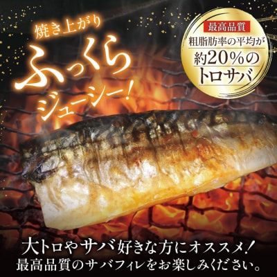 訳あり さば トロ 塩サバ フィレ LLサイズ2.5kg ★フィレ1枚230g超え 20565620