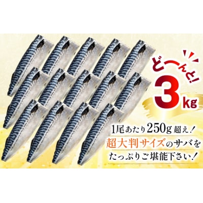 訳あり トロ塩サバ フィレ LLサイズ 3kg ★フィレ1枚230g超え![20565620] 