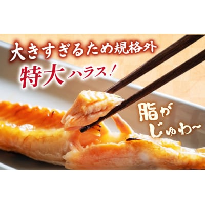 訳あり トロ サーモン ハラス フィーレ 刺身 無添加 2kg 個包装 [20565619]