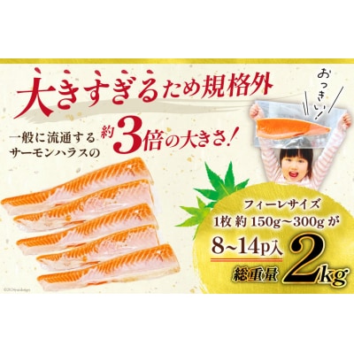 訳あり トロ サーモン ハラス フィーレ 刺身 無添加 2kg 個包装 [20565619] 鮭
