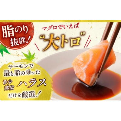 訳あり サーモン 刺身 トロ ハラス 総重量 1.6kg [20565619] 鮭