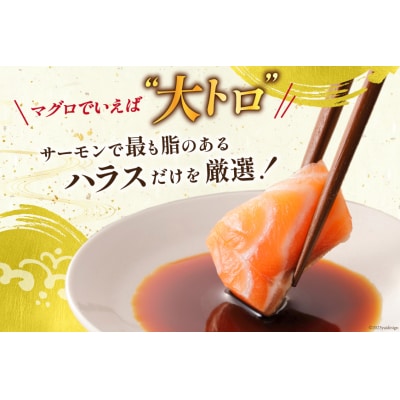 訳あり トロ サーモン ハラス フィーレ 刺身 無添加 2kg 個包装 [20565619] 鮭