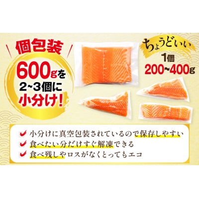 訳あり ノルウェー産 アトランティック サーモン 600g 柵 [20565614]