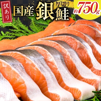 訳あり 国産 減塩 厚切り 塩銀鮭 切身 計1kg [足利本店 気仙沼市 20565397] 