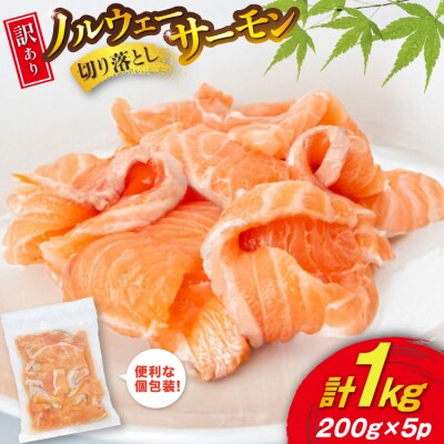 訳あり 無添加 ノルウェー産 アトランティックサーモン 切り落とし 800g [20565990] 