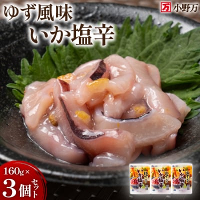 いか塩辛 ゆず風味 160g×3個 セット 計480g [小野万 20565643] 