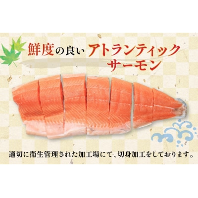 訳あり ノルウェー産 骨取り サーモン 切身 計1.5kg 無塩 [20565665]