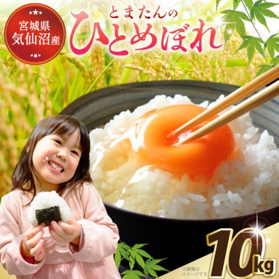 米 宮城県産 とまたんのひとめぼれ 10kg (5kg×2袋) [20565647] 