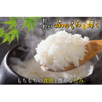米 宮城県産 とまたんのひとめぼれ 10kg (5kg×2袋) [20565647] 
