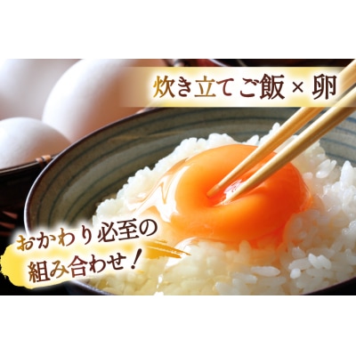 米 宮城県産 とまたんのひとめぼれ 10kg (5kg×2袋) [20565647] 