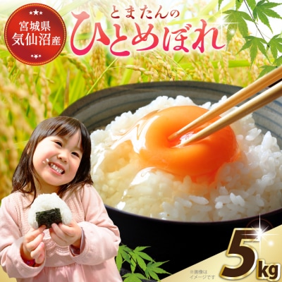 米 宮城県産 とまたんのひとめぼれ 5kg [サンフレッシュ小泉農園 20565646]