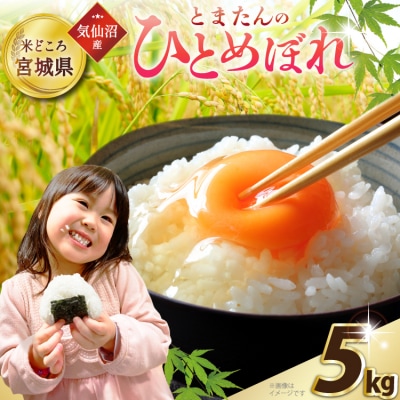 米 令和7年産 宮城県産 とまたんのひとめぼれ 5kg [20565646]