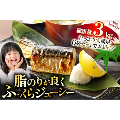 訳あり 骨取り トロ さば 切身 計3kg (500g×6p) [足利本店 20565813]