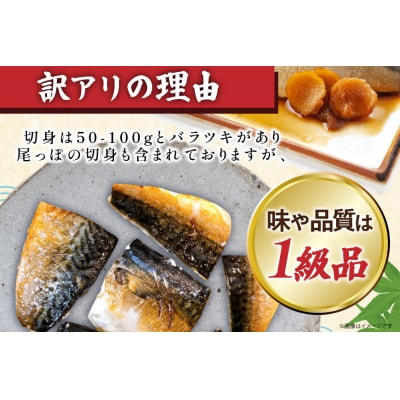 訳あり 骨取り トロ さば 切身 無添加 計3kg (500g×6p) 小分け [20565663]