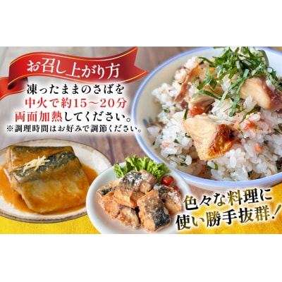 訳あり 骨取り トロ さば 切身 計3kg (500g×6p) [足利本店 20565813]