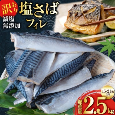 訳あり 減塩 塩サバ フィレ Mサイズ 総重量 2.5kg [20565687]