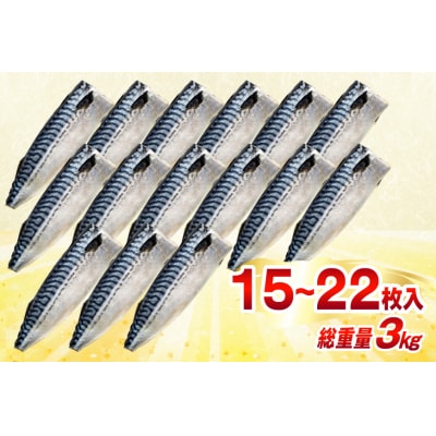 訳あり 減塩 無添加 塩サバ フィレ 総重量 3.0kg (15-22枚入) [20565687]