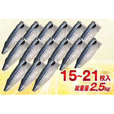 訳あり 減塩 塩サバ フィレ Mサイズ 総重量 2.5kg [20565687]