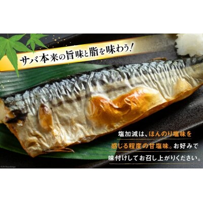 訳あり 減塩 無添加 塩サバ フィレ 総重量 3.0kg (15-22枚入) [20565687]