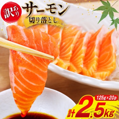 訳あり 無添加 サーモン 切り落とし おさしみ用 計2.5kg 125g [20565698]