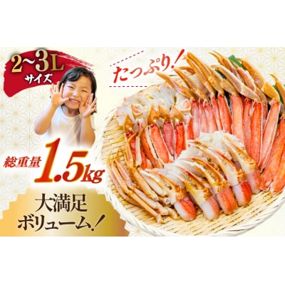 カット済 生 ずわいがに むき身 1.5kg (正味重量1.2kg) 2-3L[20565690] 