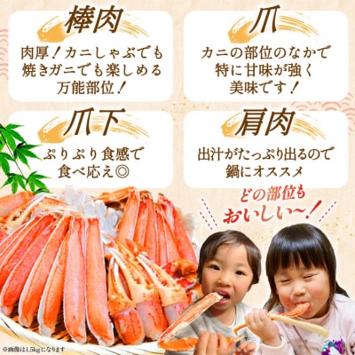 かに カット済 ずわいがに むき身 1.5kg(正味重量1.2kg)20565690 爪 かにしゃぶ