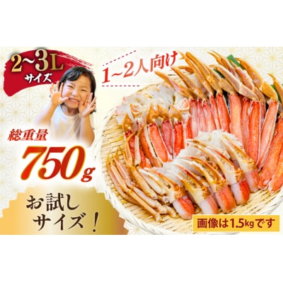 カット済 生 ずわいがに むき身 750g (正味重量600g) 2-3L [20565652] 