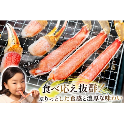カット済 生 ずわいがに むき身 750g (正味重量600g) 2-3L [20565652] 