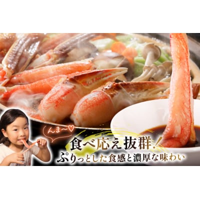 年内配送 かに カット済生ずわいがに むき身 750g(正味重量600g) 20565652 ◎