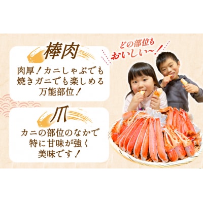 年内配送 かに カット済生ずわいがに むき身 750g(正味重量600g) 20565652 ◎
