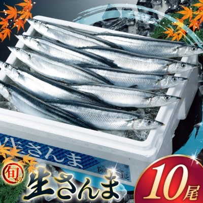 【期間限定発送】 生 さんま 10尾 [阿部長商店 宮城県 気仙沼市 20565760]