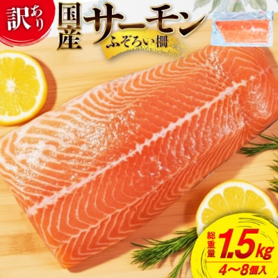 訳あり 国産 サーモン 尾っぽ柵 おさしみ用 総重量1.5kg 個包装 [20565753]