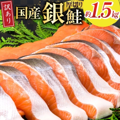 訳あり 国産 減塩 厚切り 塩銀鮭 切身 750g 2p 計1.5kg [20565750]