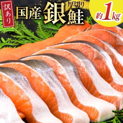 訳あり 国産 減塩 厚切り 塩銀鮭 切身 計 1kg [20565949]