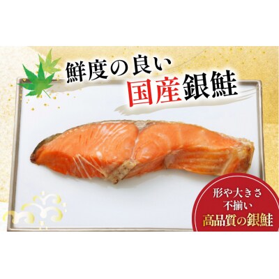 訳あり 国産 減塩 厚切り 塩銀鮭 切身 計 1kg 20565949