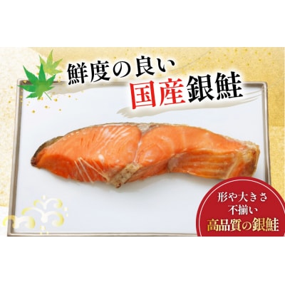 訳あり 国産 減塩 厚切り 塩銀鮭 切身 計 800g [20565949]