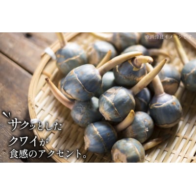 海老 カツレツ 5袋 計10個入 [斉吉商店 宮城県 気仙沼市 20565797]