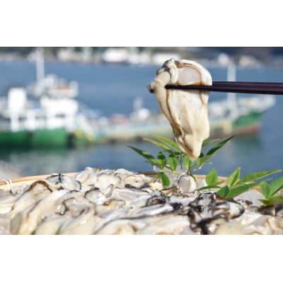 むき身 地秀かき 生食用 500g×1袋 [かみたいら 宮城県 気仙沼市 20565947]