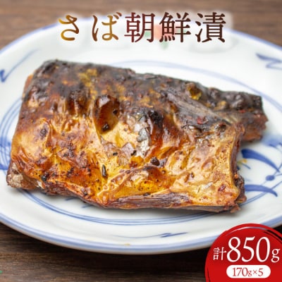 魚 さば 朝鮮漬 170g×5 計 850g [石渡商店 宮城県 気仙沼市 20565951]