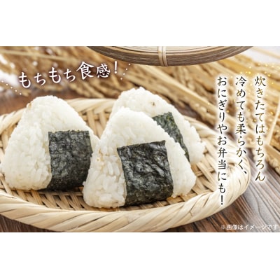 だて正夢 2kg [20565849]