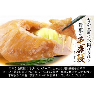 ふかひれ 姿煮 ギフトB [中華高橋水産 宮城県 気仙沼市 20565946]