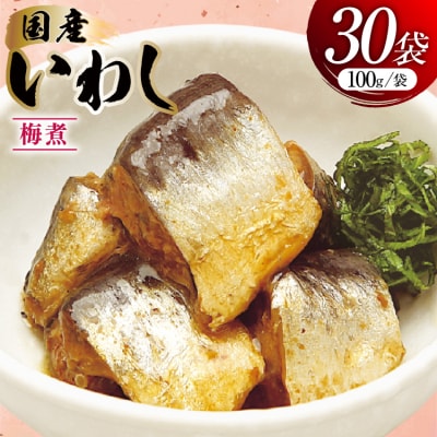 いわし 梅煮 100g 30袋 計3kg [気仙沼市物産振興協会 20565956] 