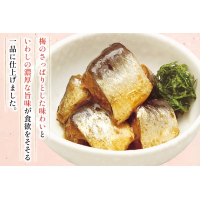 いわし 梅煮 100g 30袋 計3kg [気仙沼市物産振興協会 20565956] 