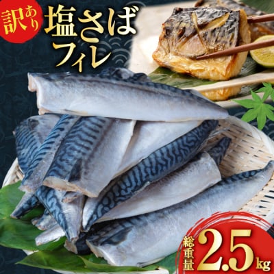 訳あり 減塩 塩 サバ フィレ Sサイズ 総重量 2.5kg 足利本店 20565959 鯖 さば