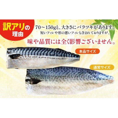 訳あり 減塩 無添加 トロ塩サバ フィレ Sサイズ 総重量 3kg [足利本店 20565959]
