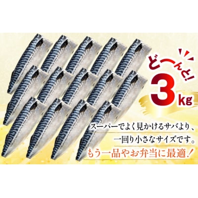 訳あり 減塩 無添加 トロ塩サバ フィレ Sサイズ 総重量 3kg [足利本店 20565959]