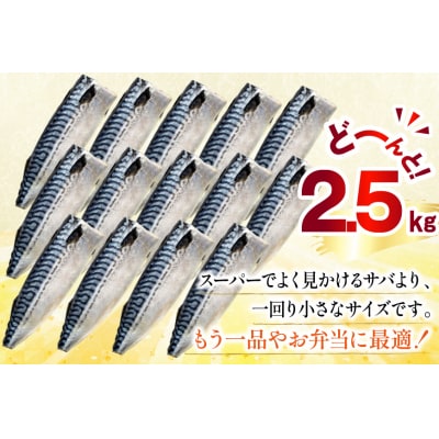 訳あり 減塩 塩 サバ フィレ Sサイズ 総重量 2.5kg 足利本店 20565959 鯖 さば