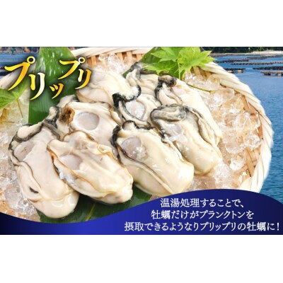【期間限定発送】 ヤマヨ水産の牡蠣 加熱用 500g 《1月前半～出荷》 [20565984]